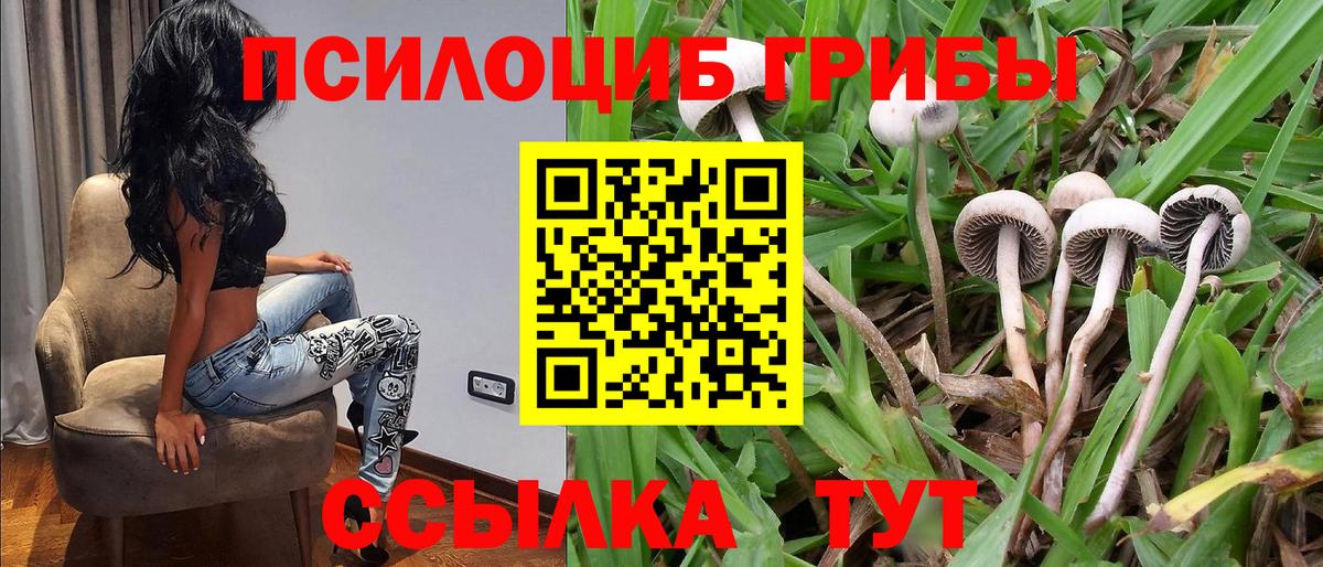 Приморско-Ахтарск  Галлюциногенные грибы мицелий  Вход с VPN  Псилоцибиновые грибы Psilocybine cubensis 